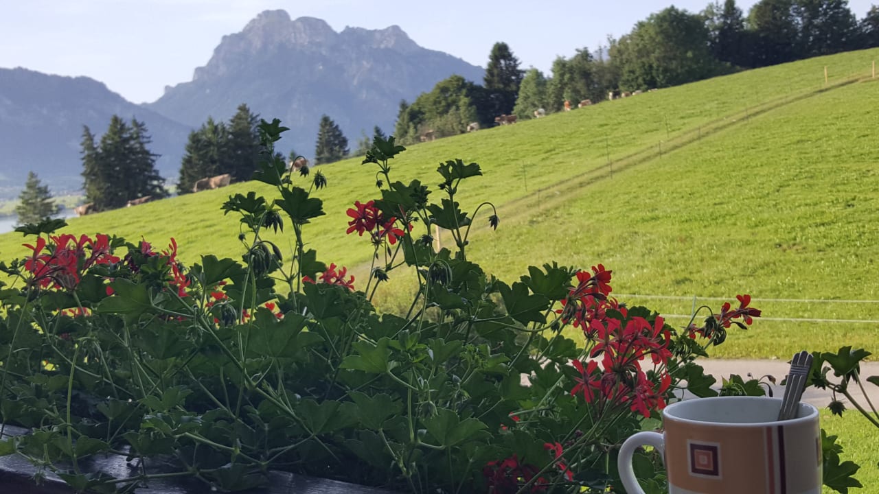 Ausblick Ferienwohnungen Salenberghof