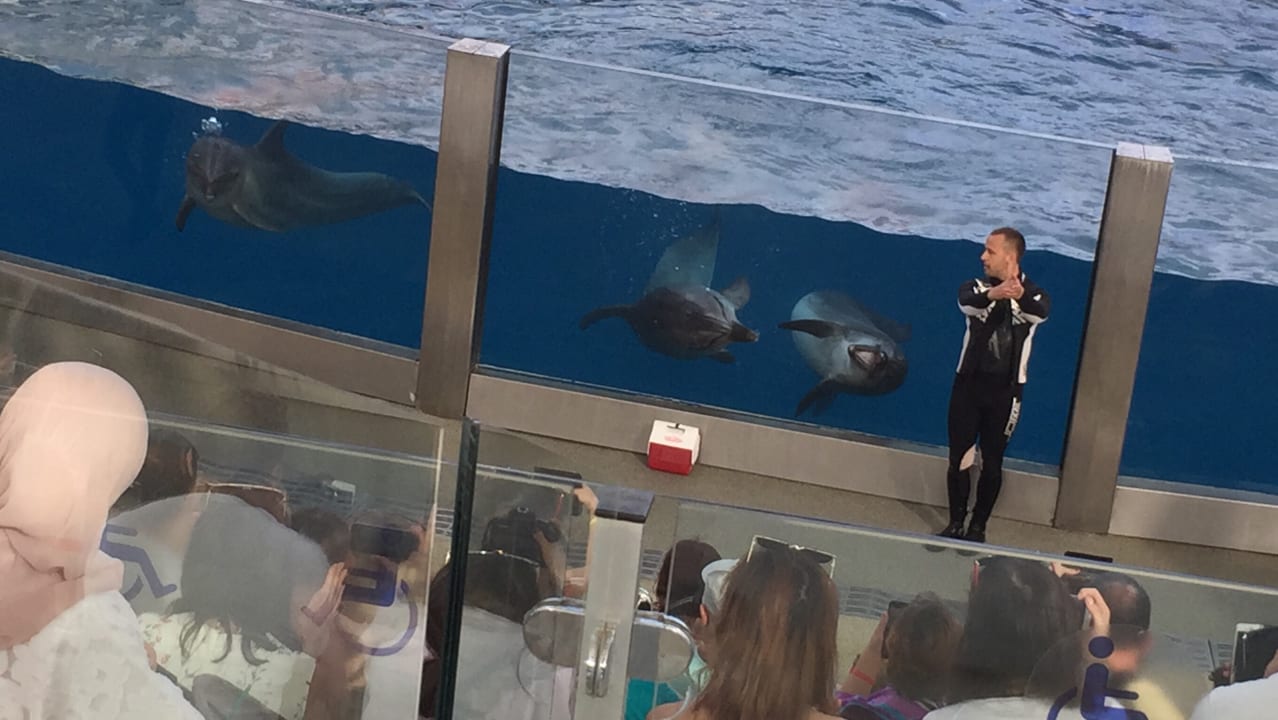 Sport & Freizeit The Land of Legends Kingdom Hotel