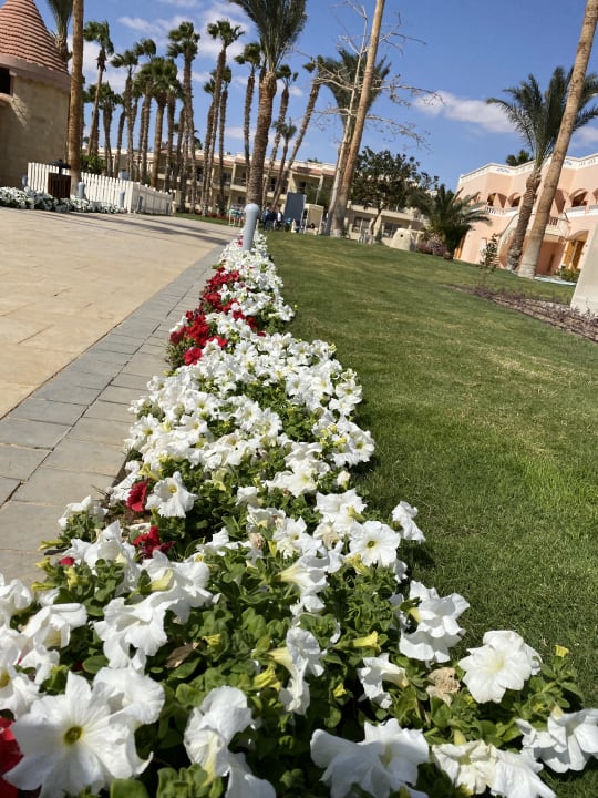 Gartenanlage Beach Albatros Resort