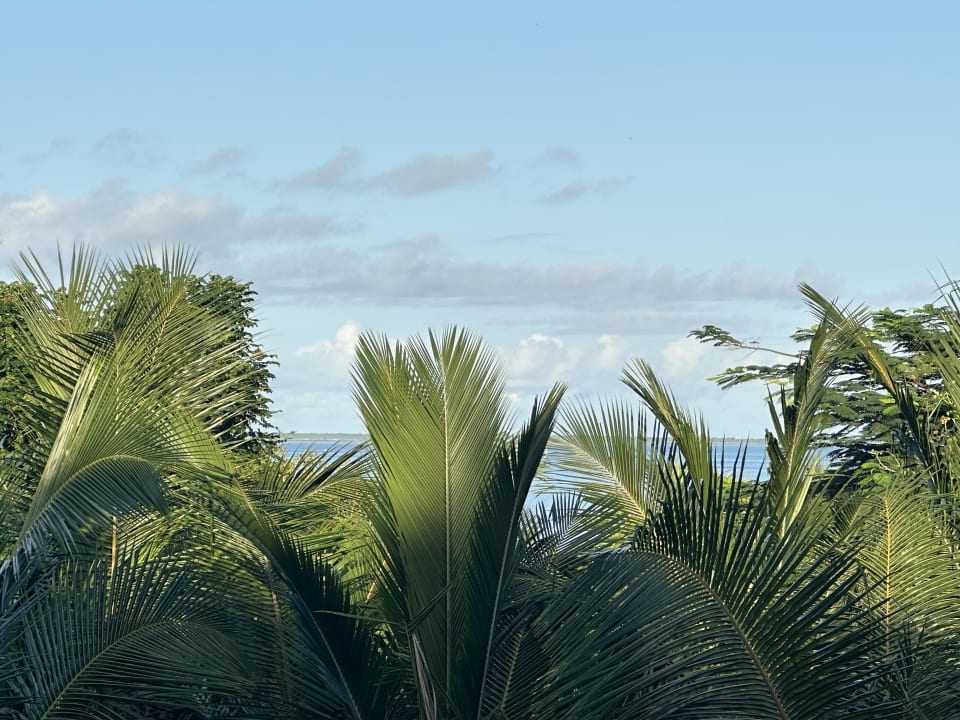 Ausblick Hotel Riu Jambo