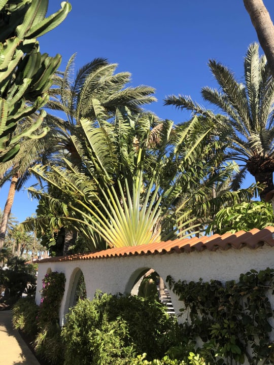 Gartenanlage ROBINSON JANDIA PLAYA