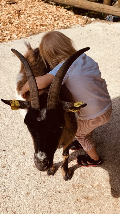 Sport & Freizeit POST Family Resort