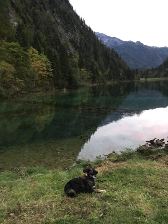 Direkt gegenüber super schön Gästehaus Seehaus
