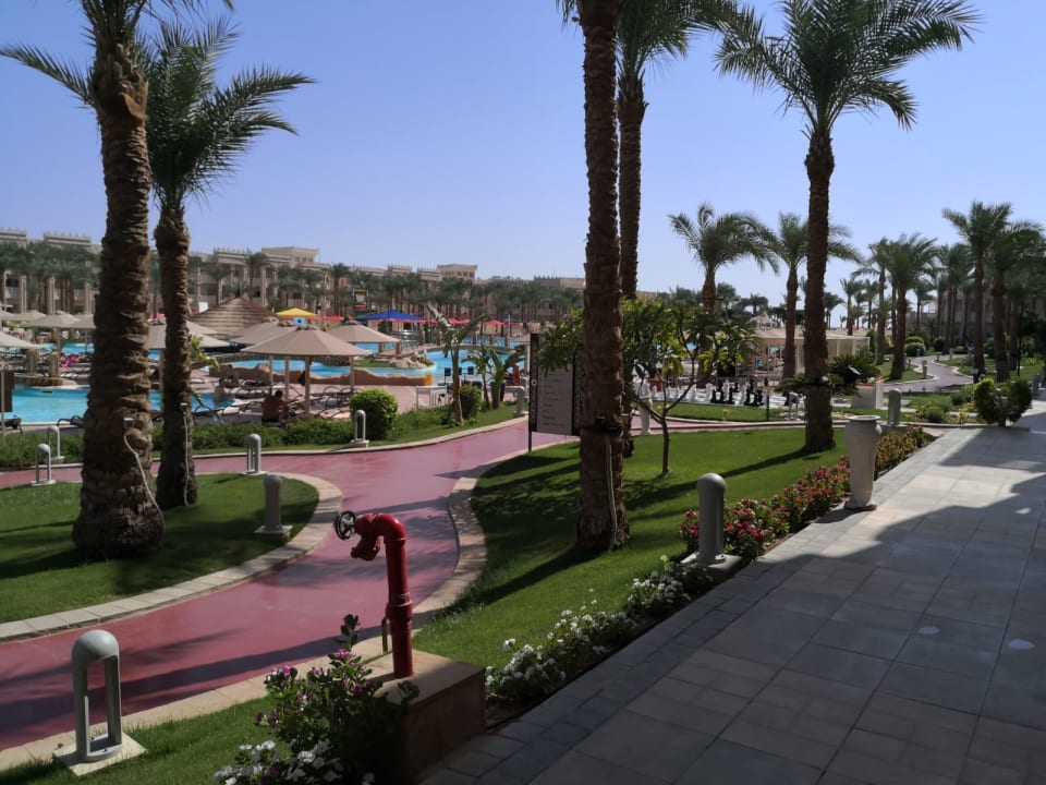 Ausblick Pickalbatros Palace Resort