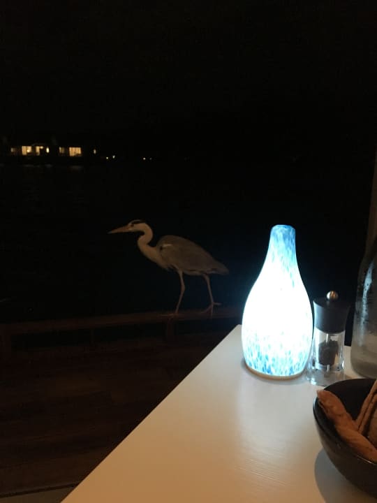 Gastro Kuramathi Maldives