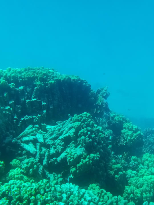 Sport & Freizeit Tropitel Sahl Hasheesh