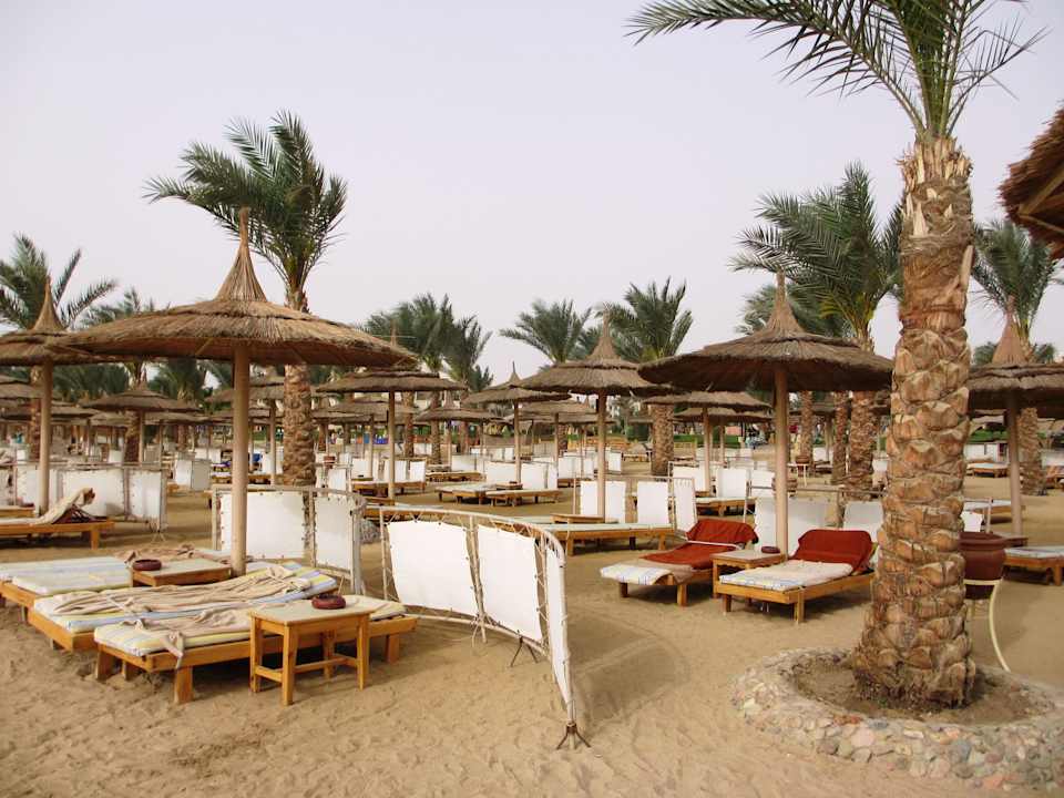 Strand Pickalbatros Palace Resort