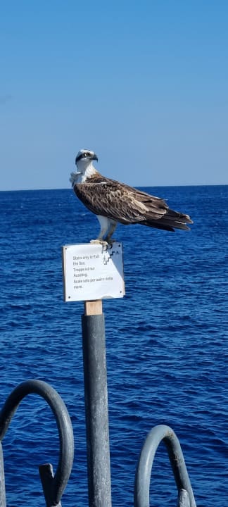 Sonstiges Three Corners Happy Life Beach Resort