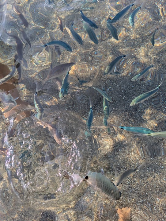 Strand Porto Bello Beach