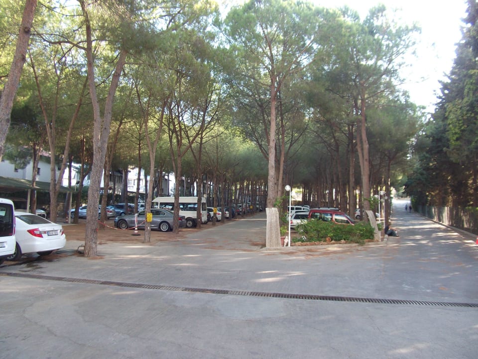 Der Parkplatz  Hotel Grand Efe