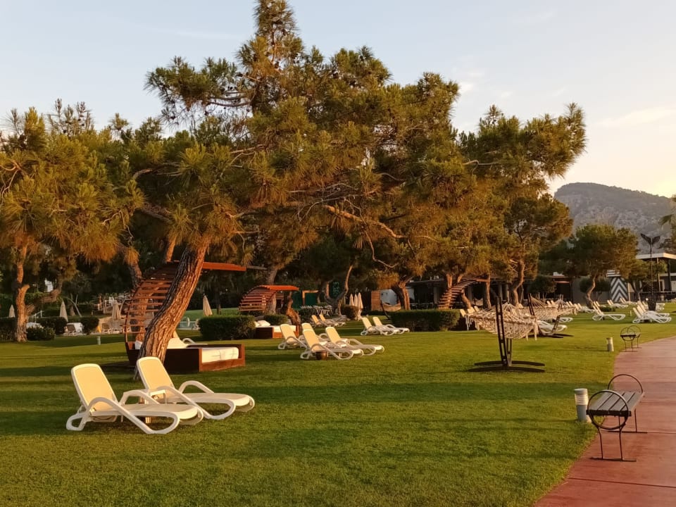 Gartenanlage TUI MAGIC LIFE Beldibi +16