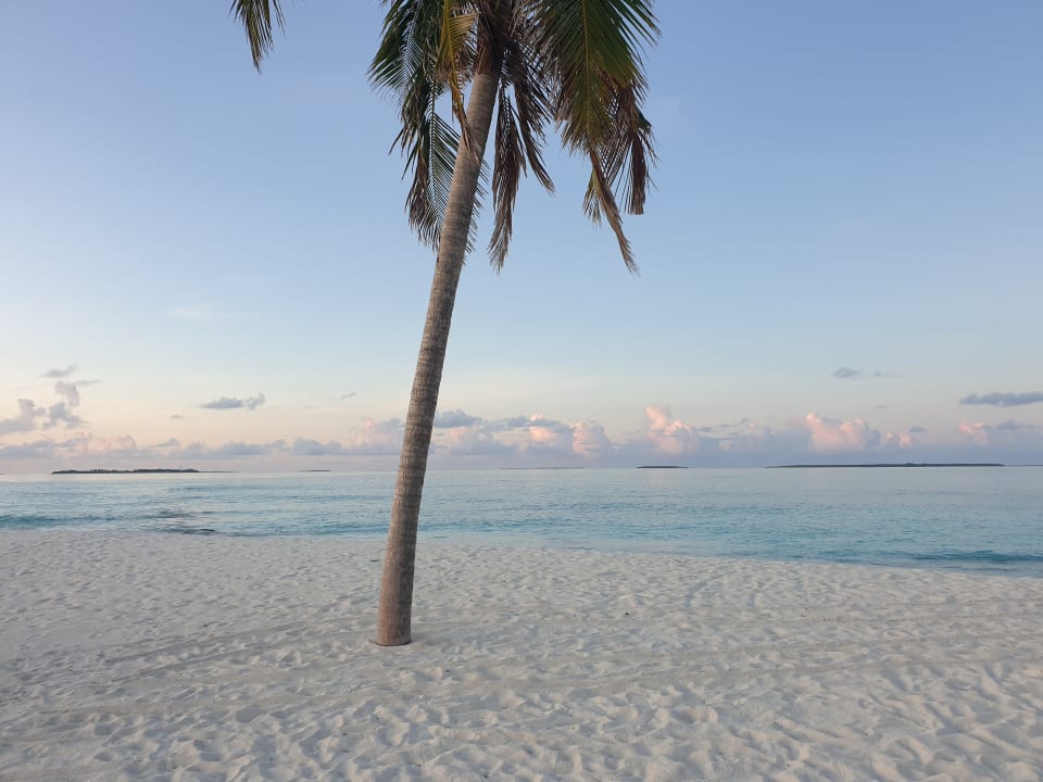 Strand Hondaafushi Island Resort