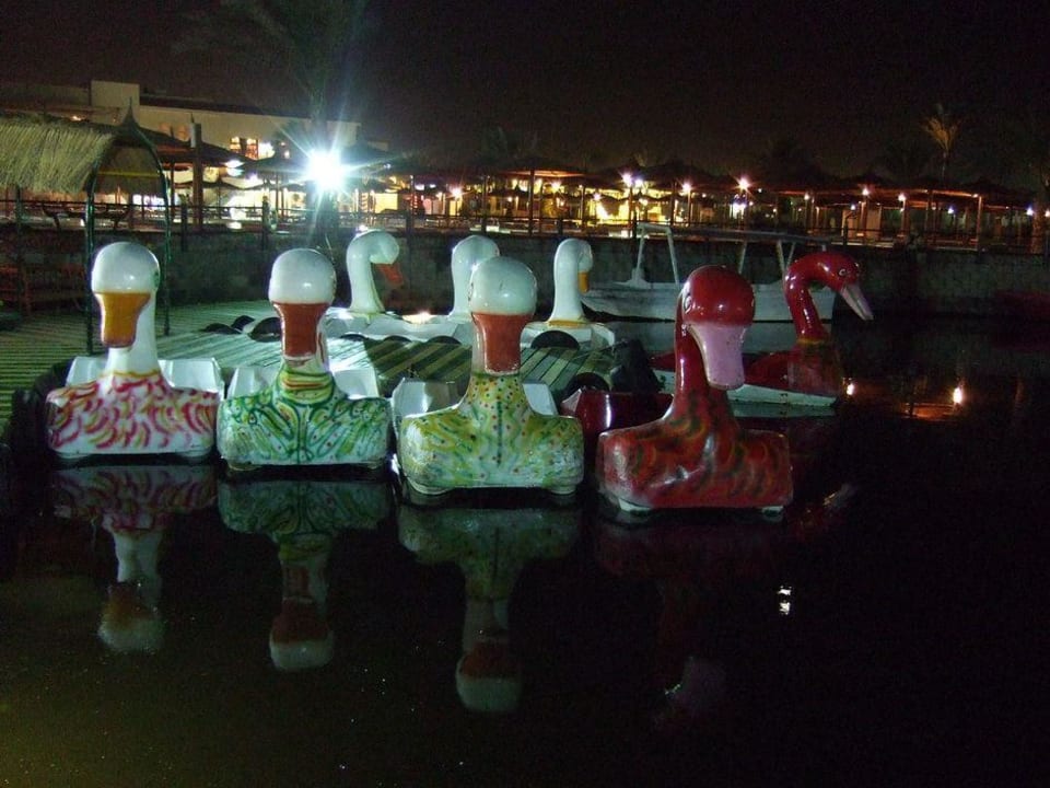 Flotte bei der Nachtruhe Pickalbatros Dana Beach Resort - Hurghada