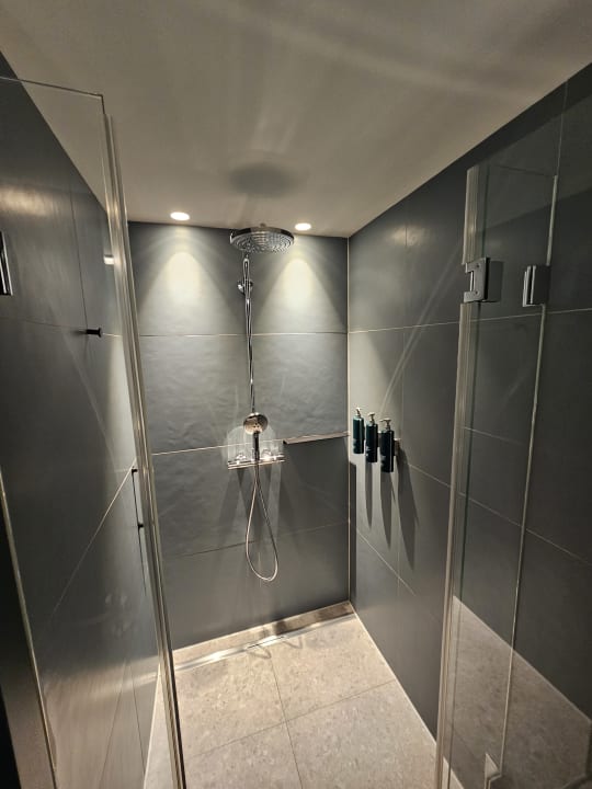 Zimmer Hilton Garden Inn Mannheim