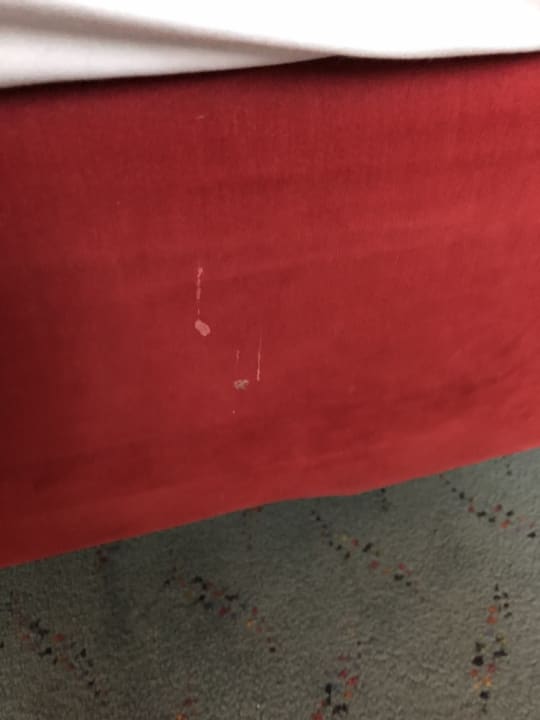 Zimmer Good Morning + Leipzig