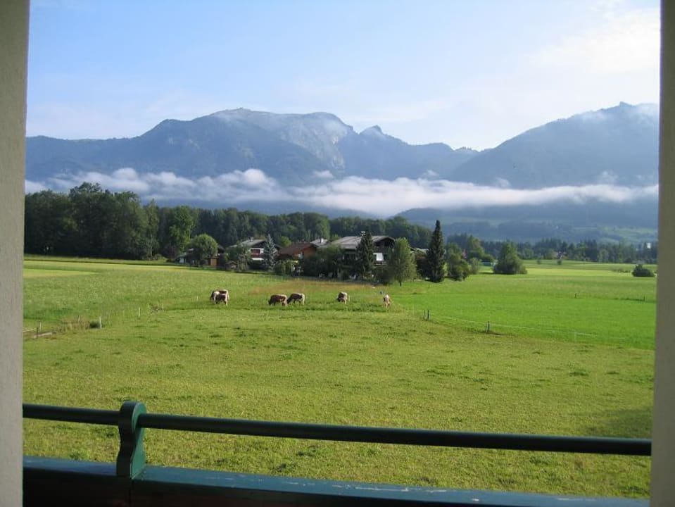 Ausblick zum Wolfgangsee Gasthof Wiesenhof