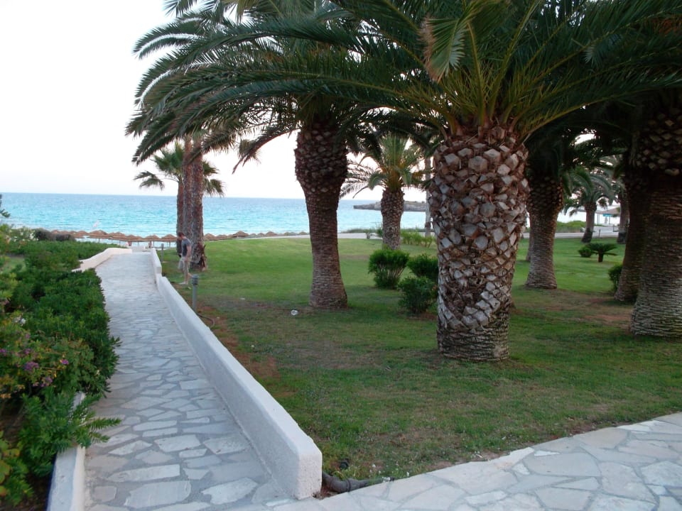 Viele Wege führen zum Strand Hotel Nissi Beach Resort