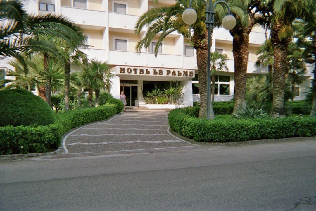 Haupteingang mit Palmen Hotel Le Palme