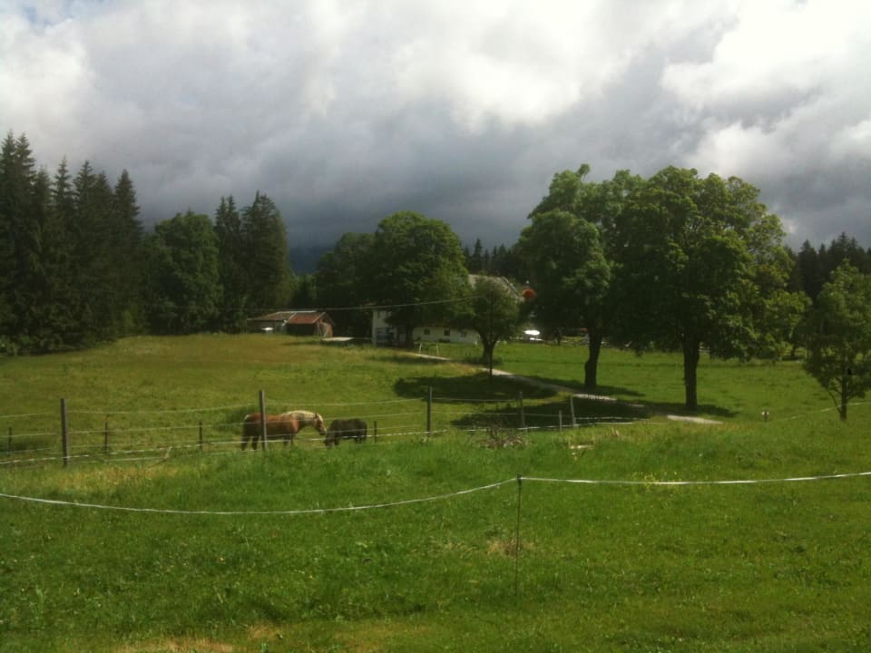 Dachstein in Wolken Naturhaus Lehnwieser
