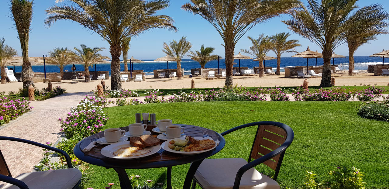 Gastro Coral Sun Beach