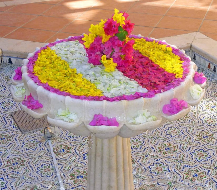 Blütenzauber Steigenberger Coraya Beach - Adults only