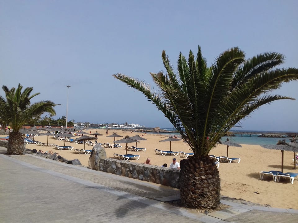 Strand Globales Costa Tropical