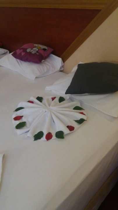 Zimmer Arycanda Kirman Premium