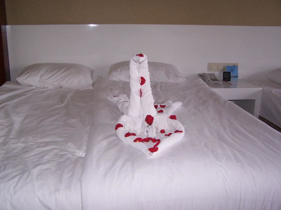 Zimmer Seaden Sea World Resort & Spa