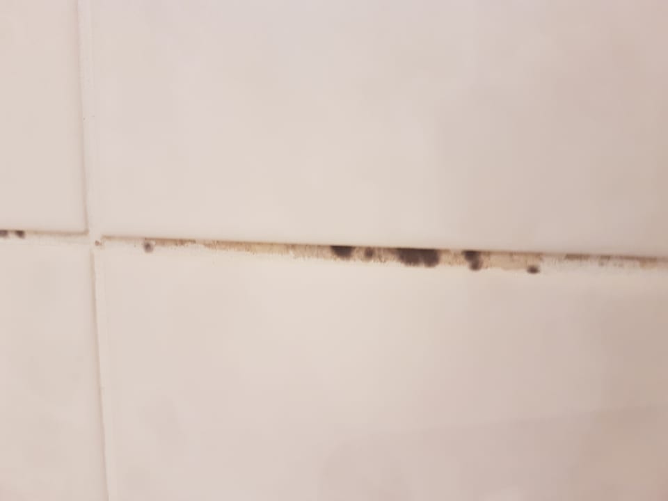 Zimmer Select Hotel Friedrichshafen