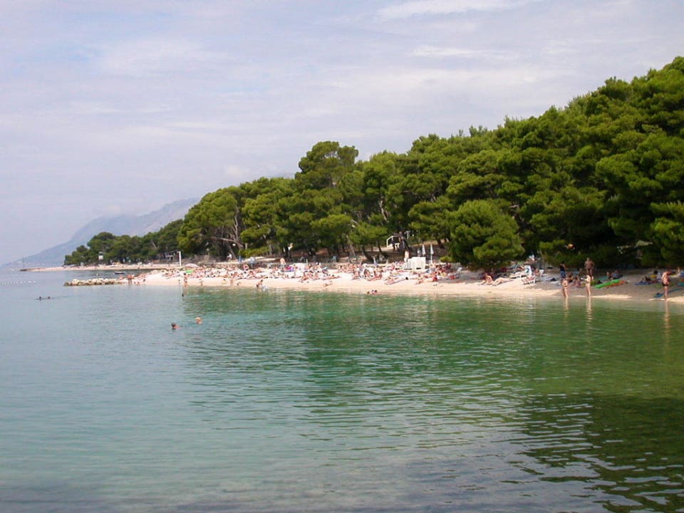 Linke Seite Bluesun Hotel Soline