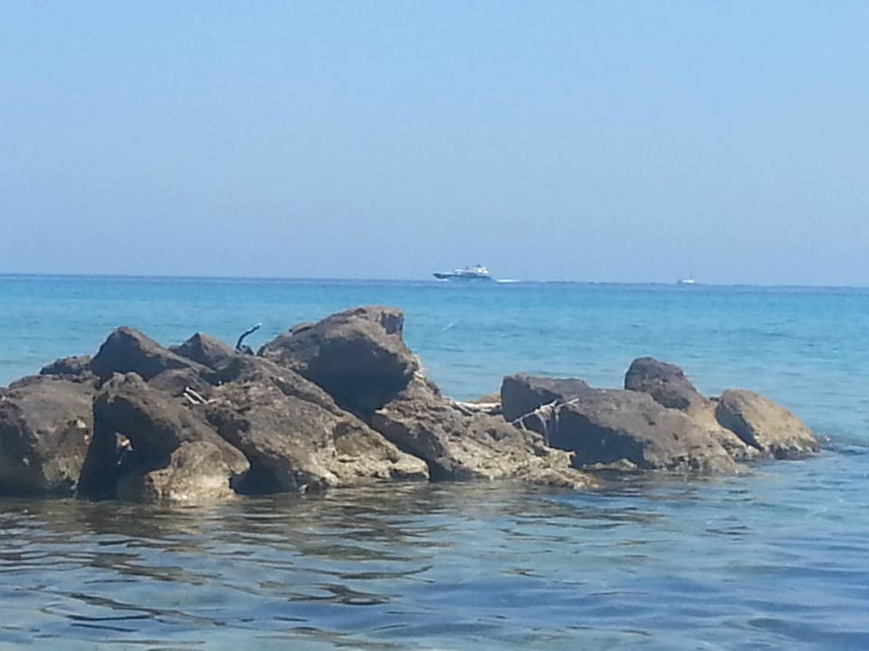 Naturalne osłony plaży AluaSoul Zakynthos - Adults only