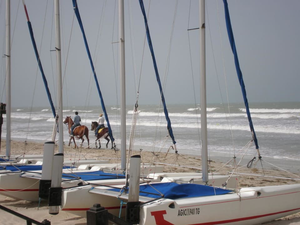 Zu wellig für Katamarane TUI MAGIC LIFE Penelope Beach