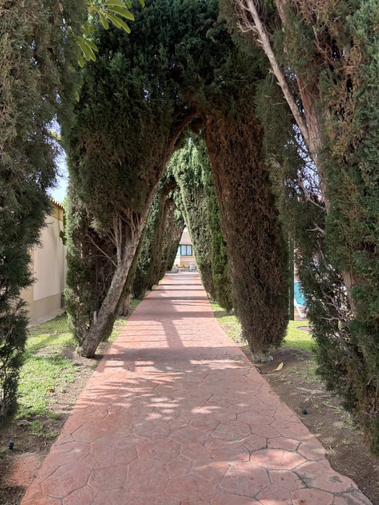 Gartenanlage allsun Hotel Esplendido