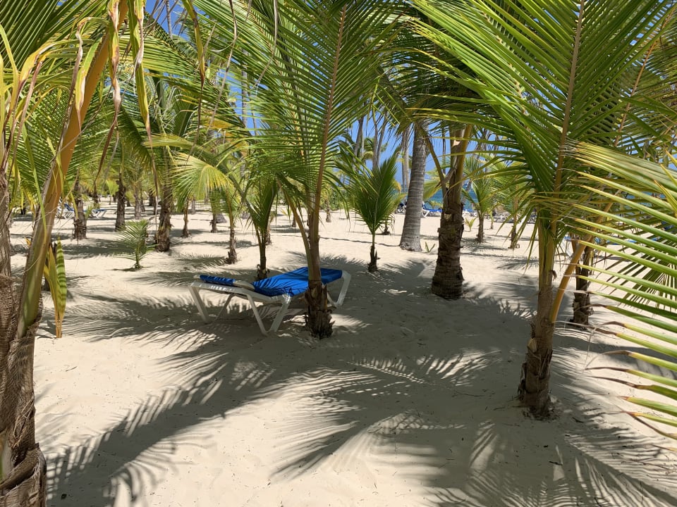 Strand Hotel Riu Palace Bavaro