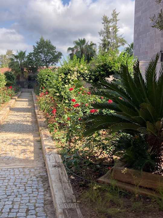 Außenansicht Calimera Serra Palace