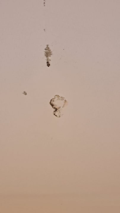 Zimmer Hotel Serrano Palace