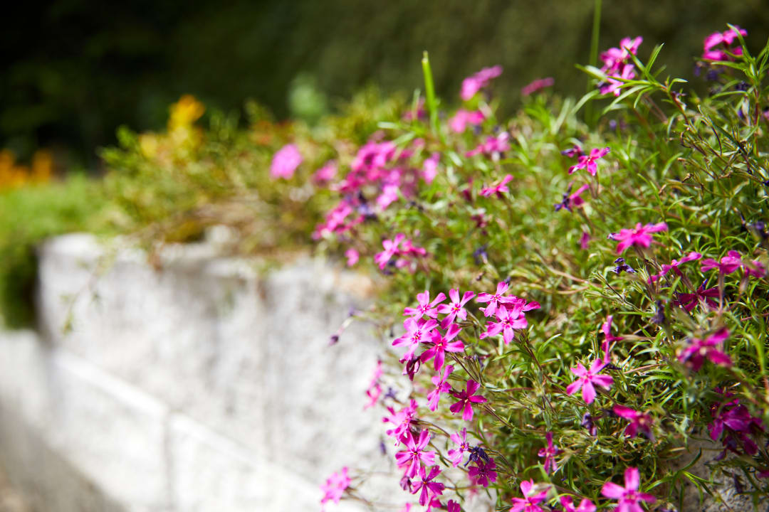 Gartenanlage Hotel Hubertushof - Ihr Hotel mit Herz