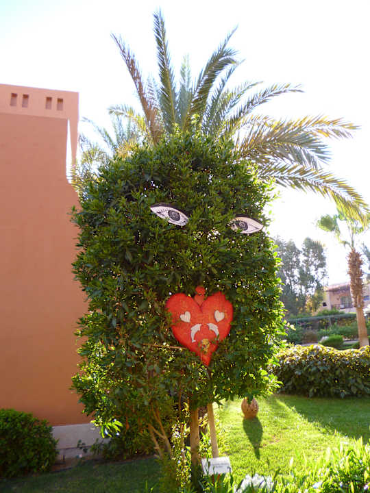 Schön Jaz Makadi Gardens - TUI BLUE Makadi Gardens - Adults Friendly 16 Years Plus