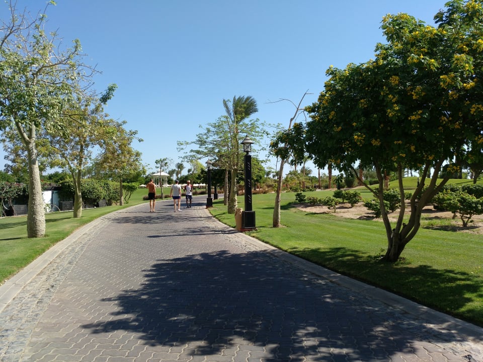 Gartenanlage Steigenberger Aqua Magic