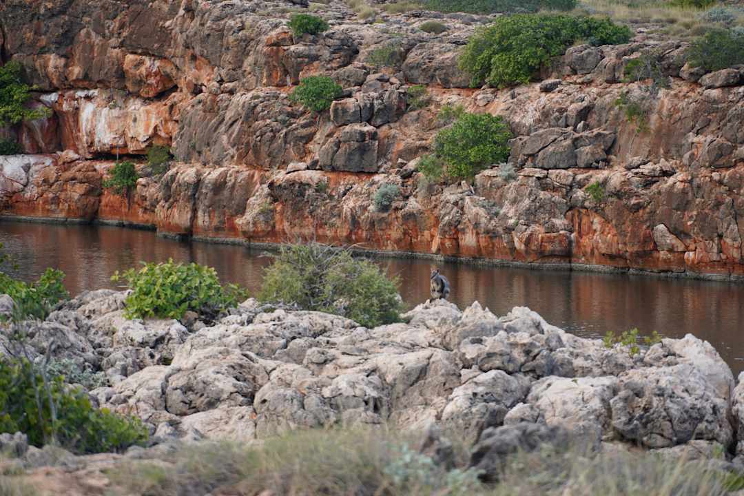 Sport & Freizeit Luxury Camp Sal Salis Ningaloo Reef