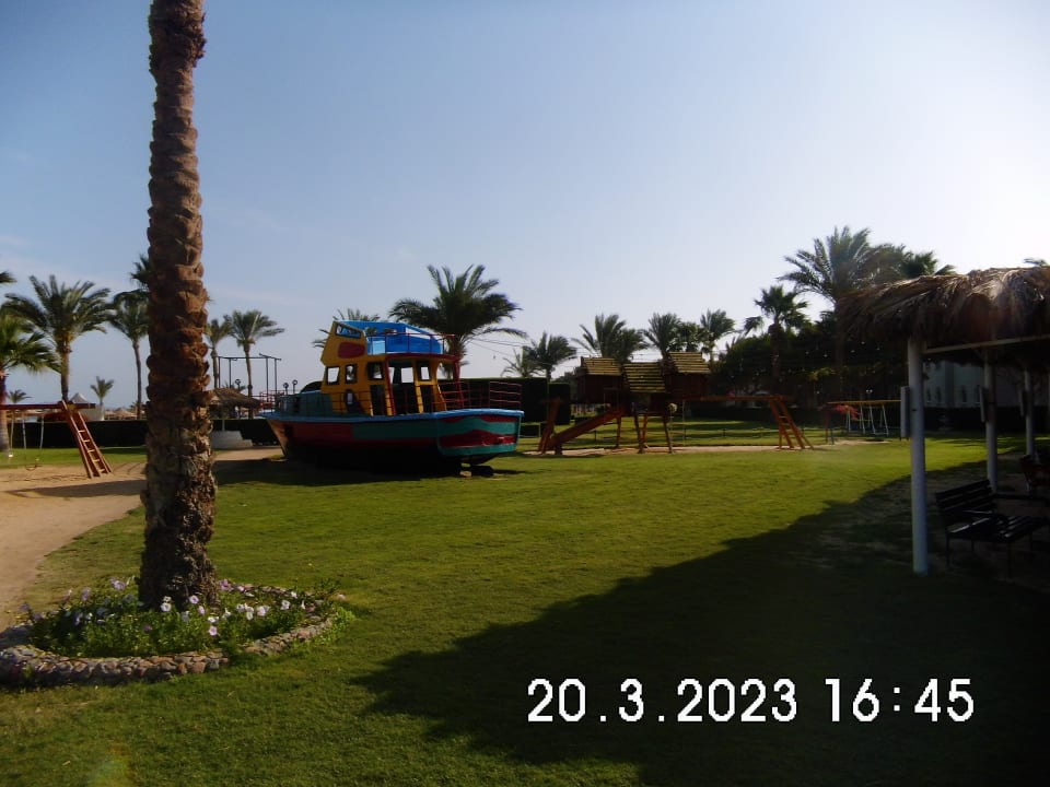 Sport & Freizeit Desert Rose