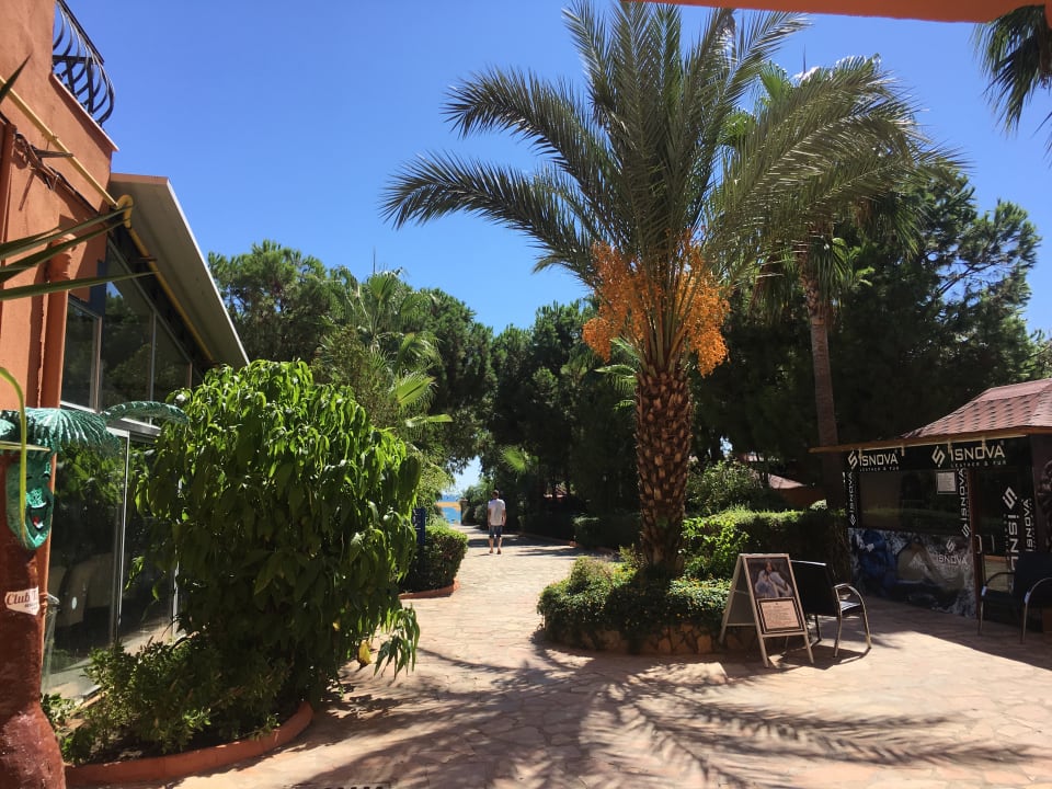 Gartenanlage Club Turtas Beach Hotel