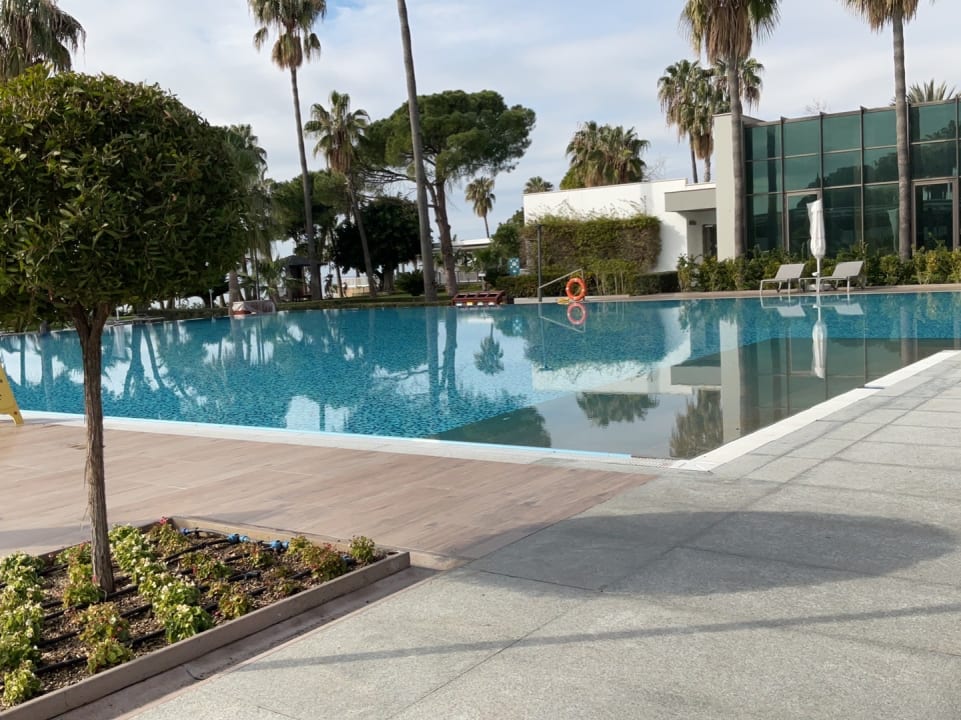 Pool Acanthus Cennet Barut Collection