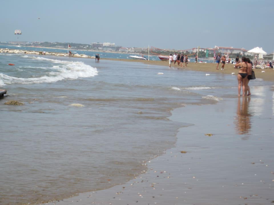 Feinster Sand PALOMA Perissia