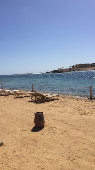 Strand Steigenberger Coraya Beach - Adults only