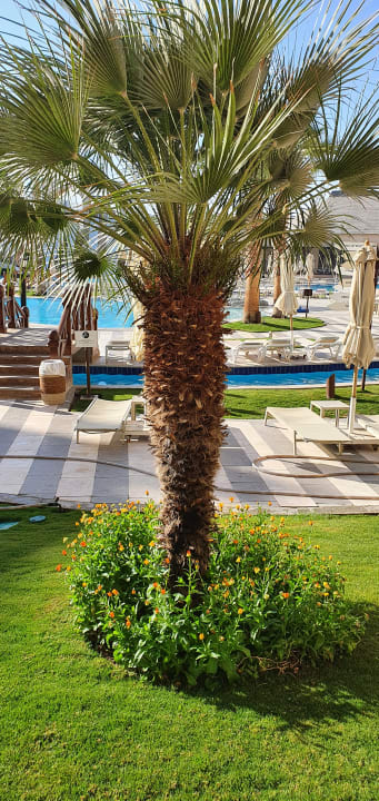 Ausblick Steigenberger Aqua Magic