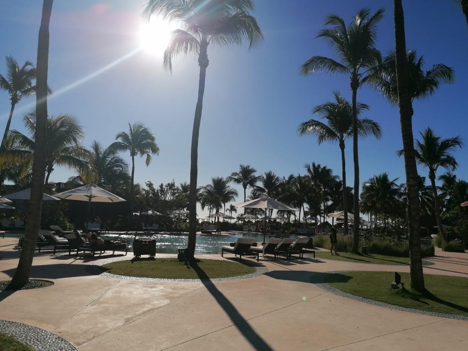 Pool Secrets Akumal Riviera Maya - Adults only