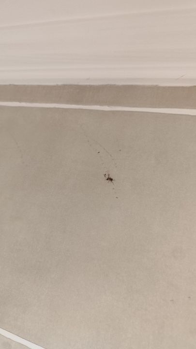 Zimmer Stella Beach Resort & Spa Makadi Bay