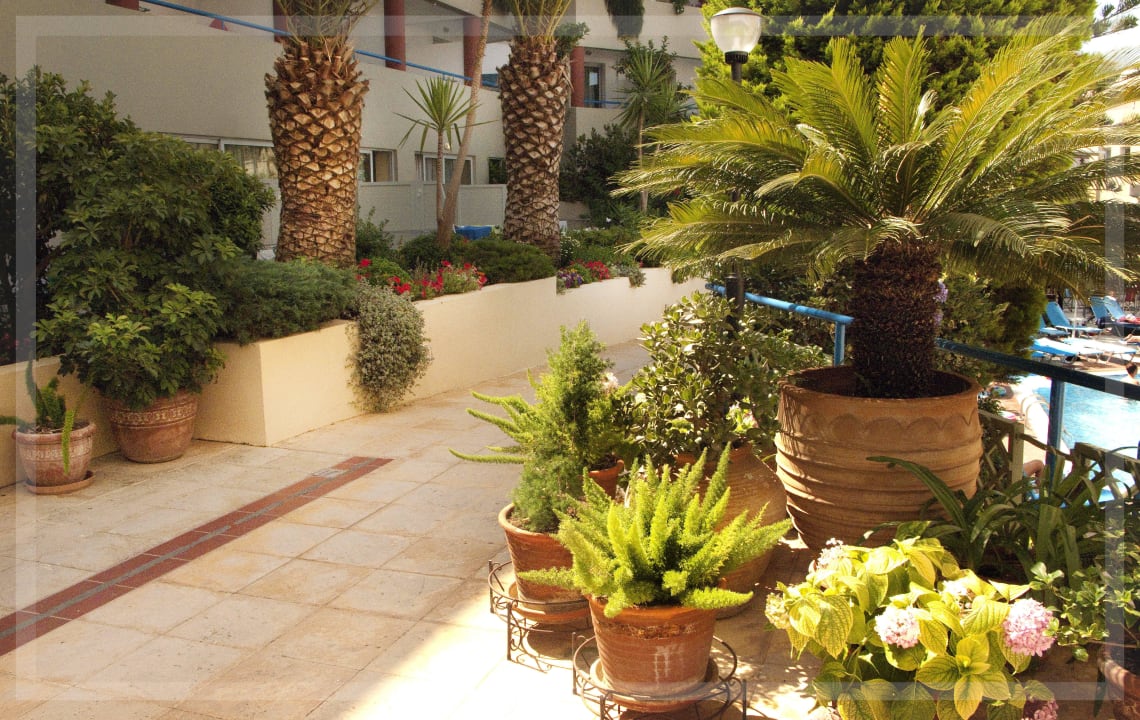 Ibiscos Garden - Terrace & Garden Ibiscos Garden Hotel