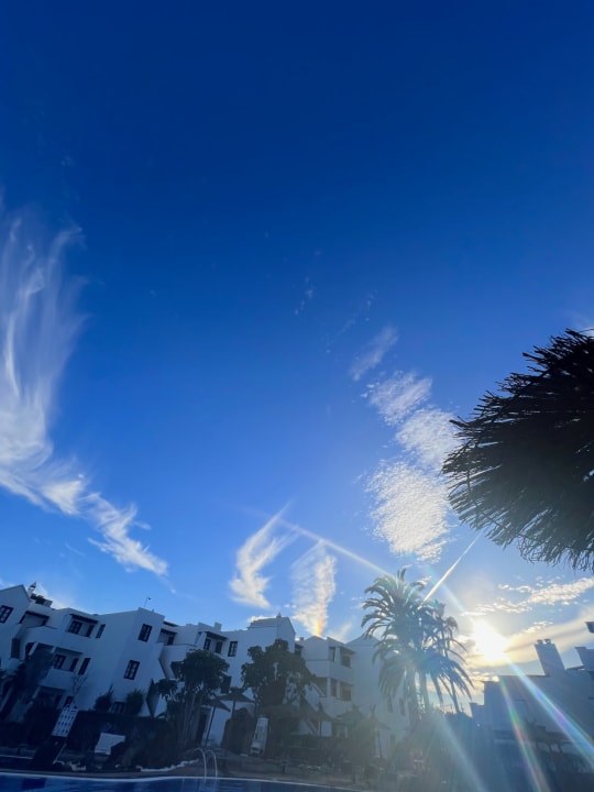 Ausblick allsun App.-Hotel Albatros